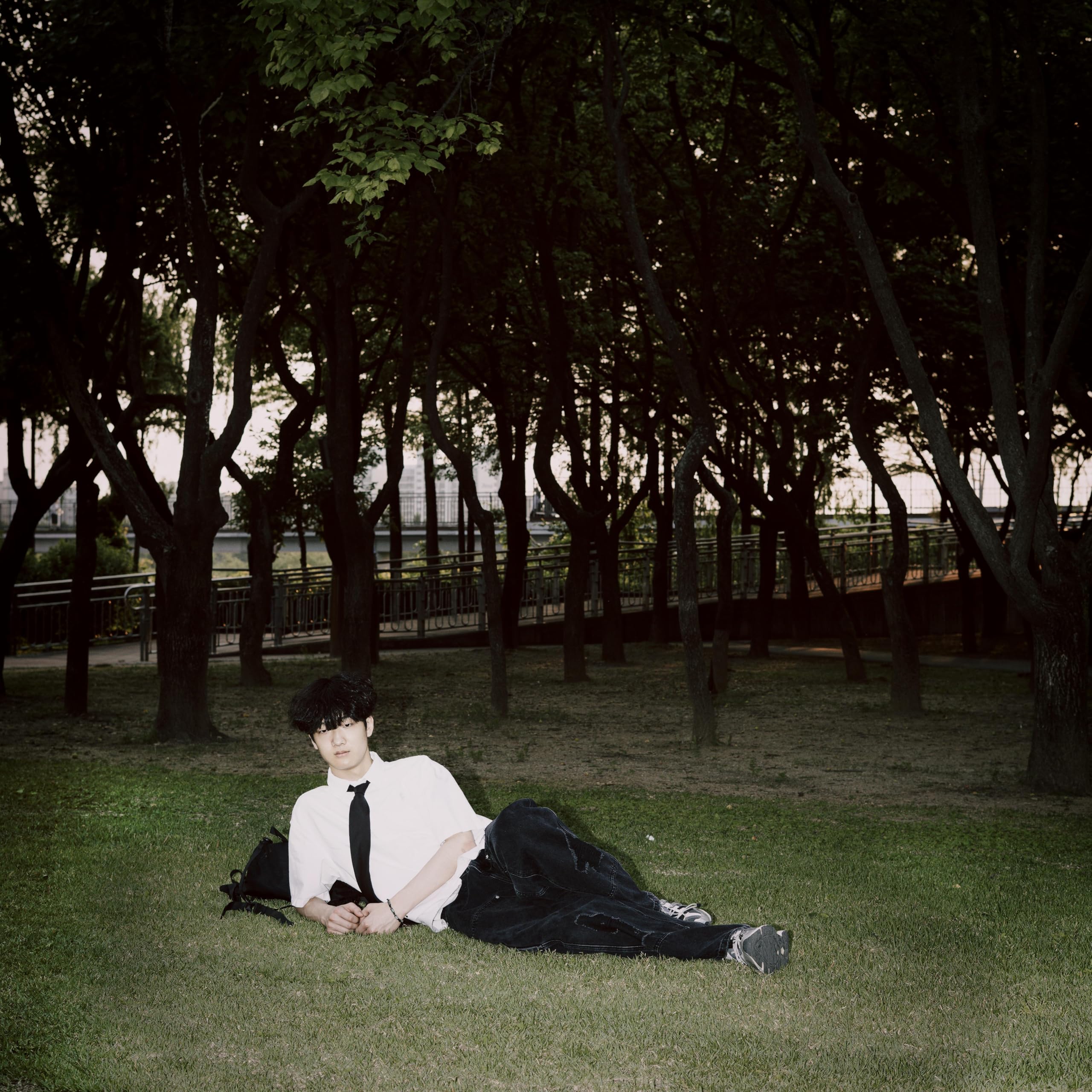 Image Cover